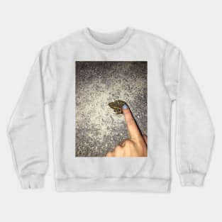 Frog Point Crewneck Sweatshirt